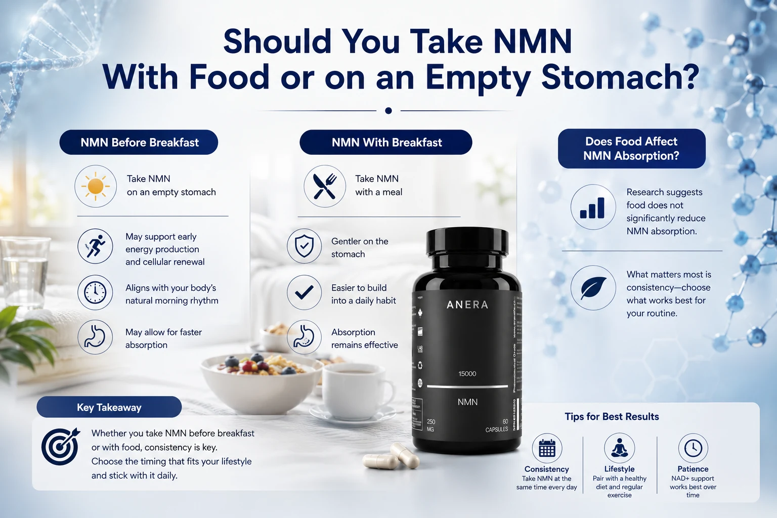 Should You Take NMN With Food or on an Empty Stomach