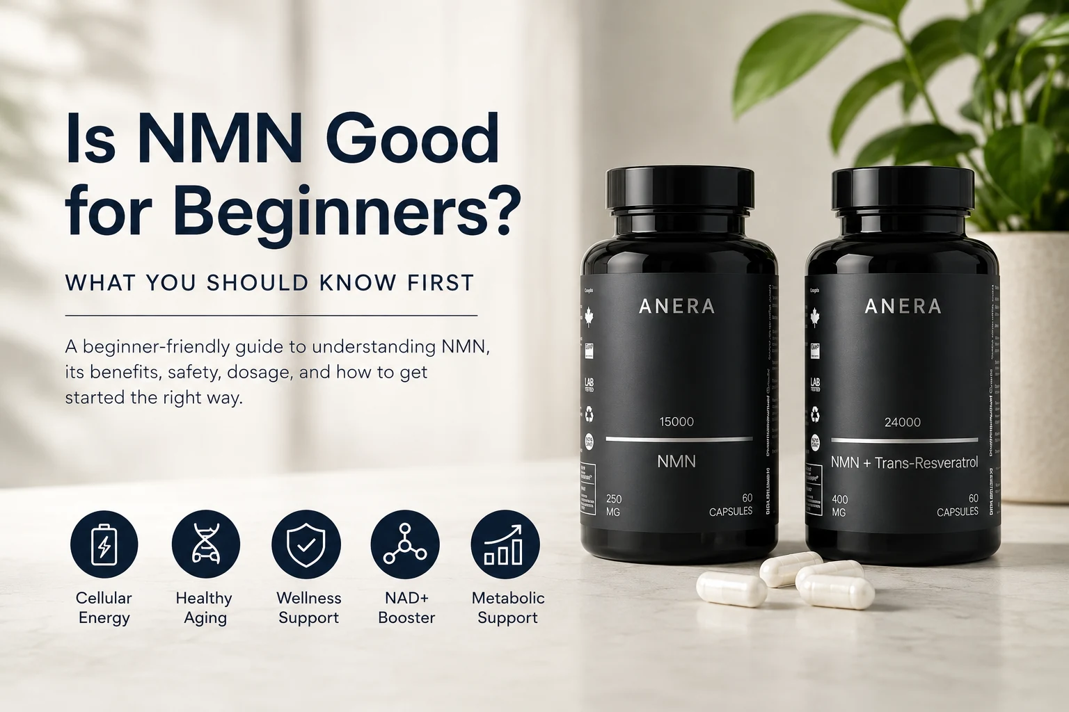 Is NMN Good for Beginners