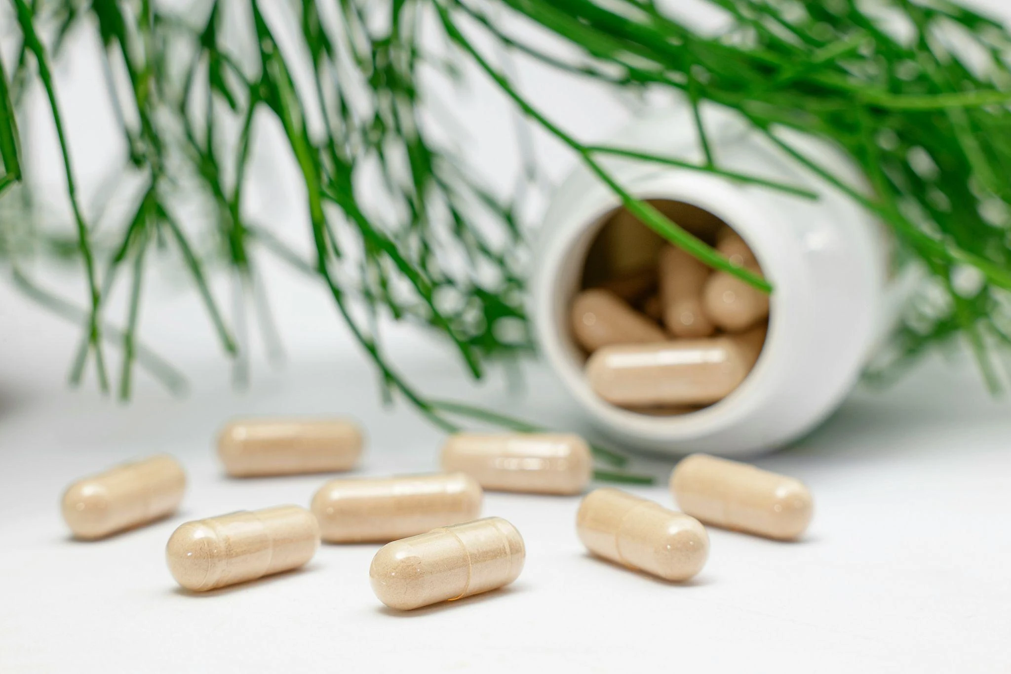 Science-Backed Benefits of NMN Supplements