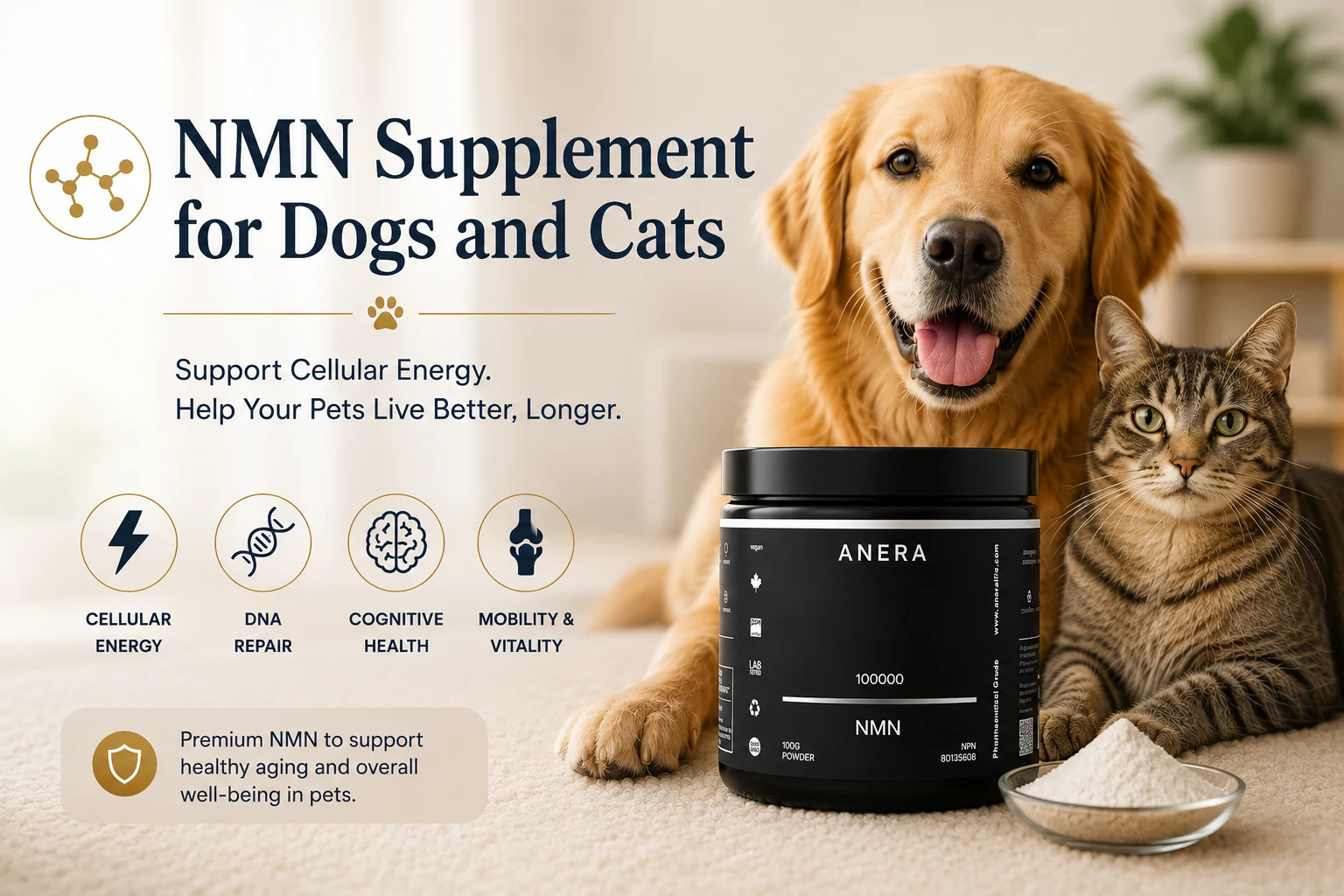 A note that Anera capsules are for adults, not for pets