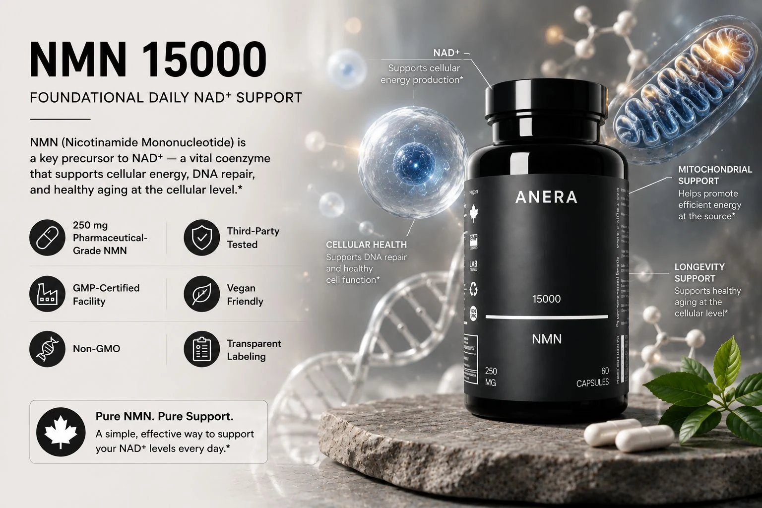 NMN 15000 — Foundational Daily NAD⁺ Support