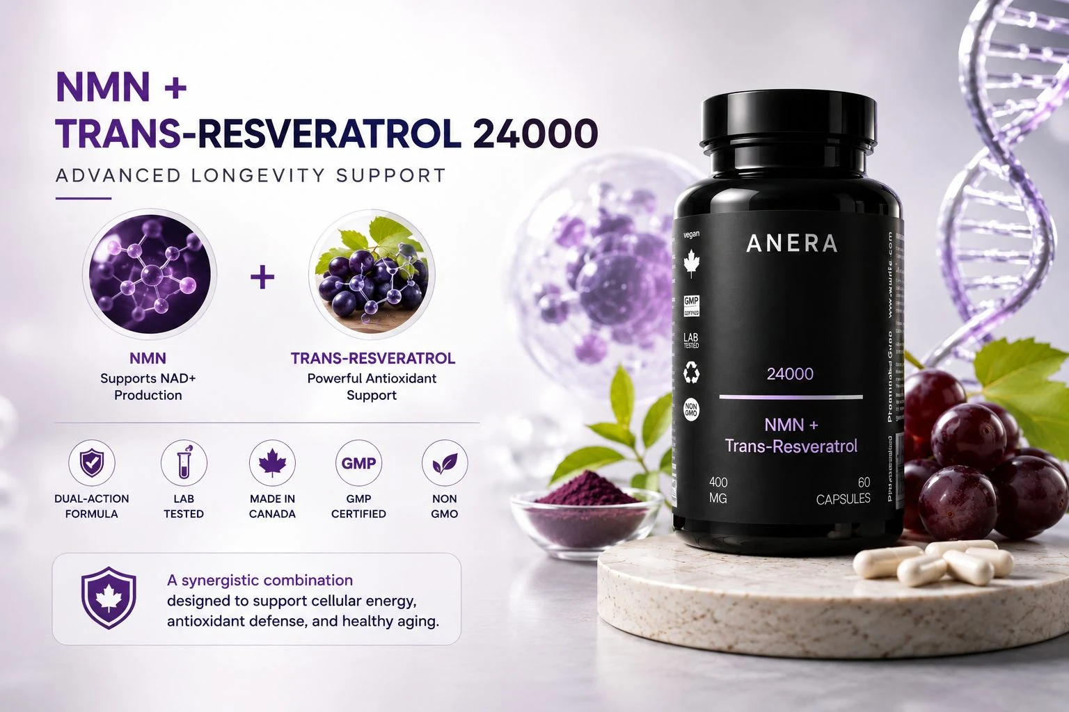NMN + Trans-Resveratrol 24000 — Advanced Longevity Support