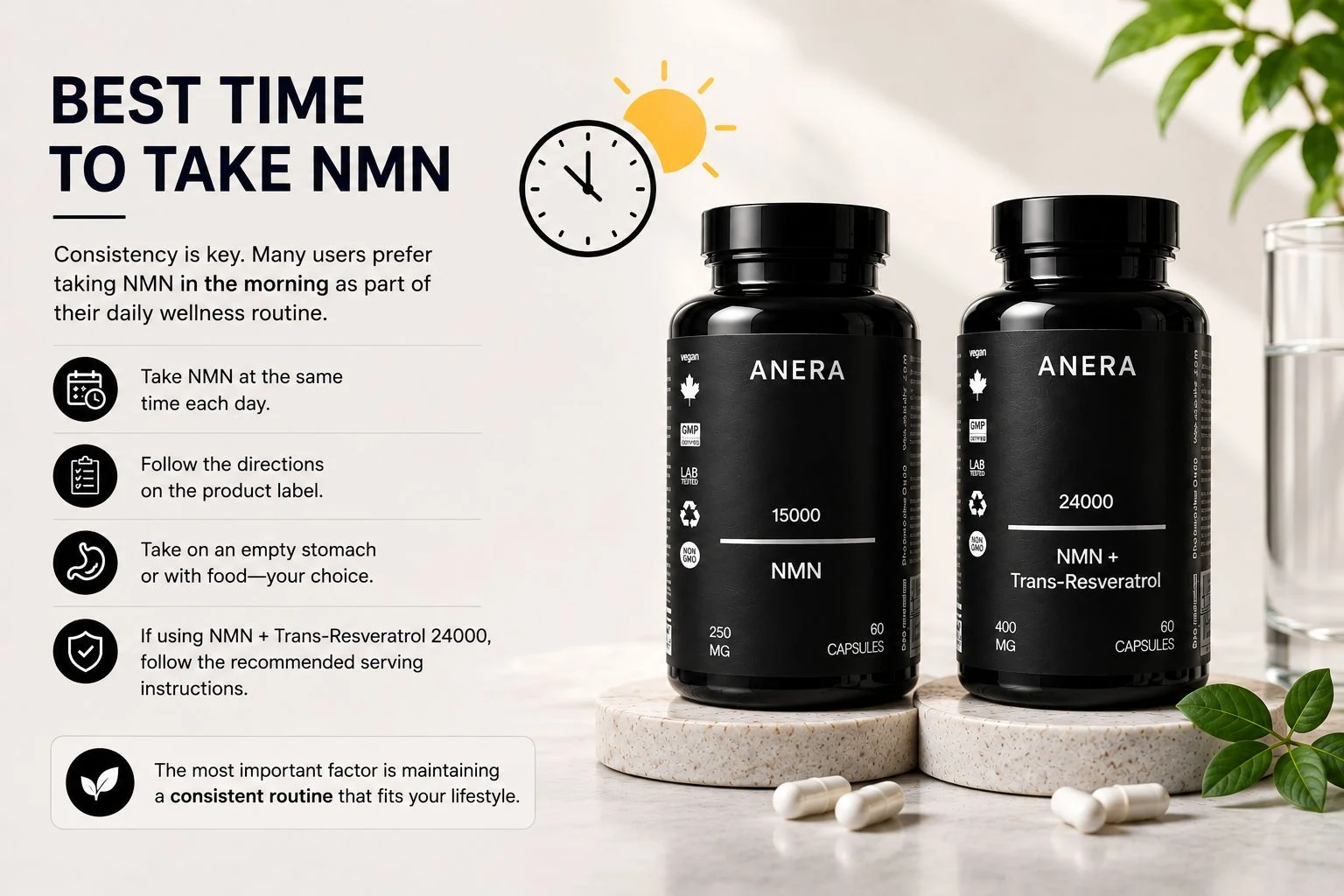 Best Time to Take NMN