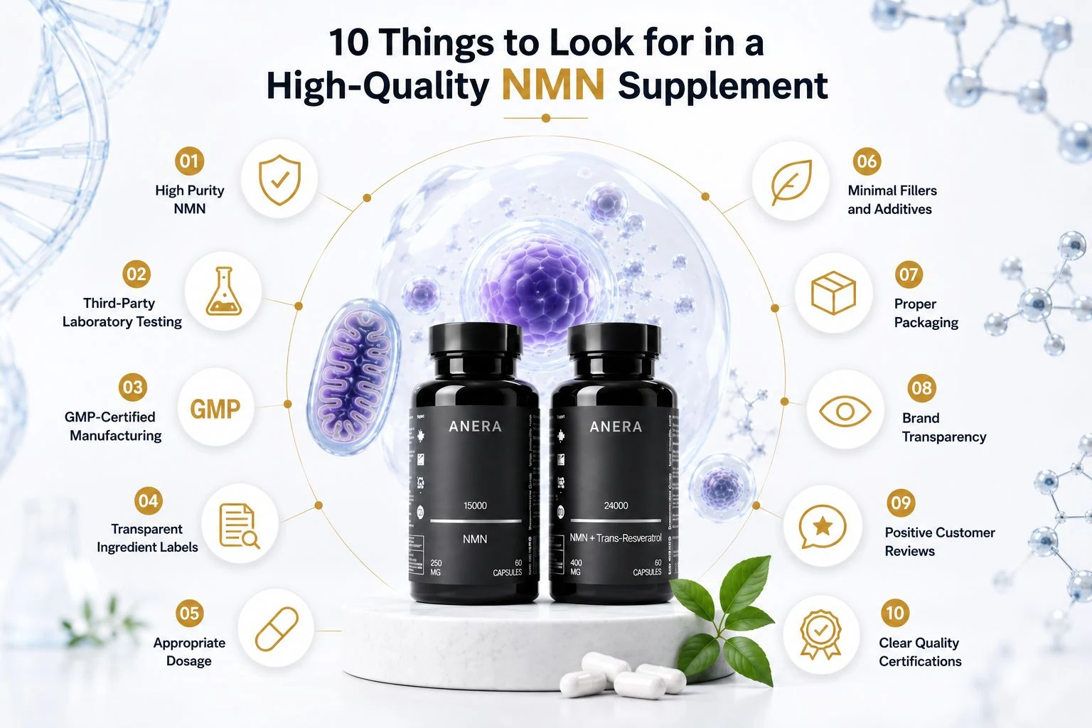 10 Things to Look for in a High-Quality NMN Supplement